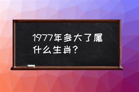 1977屬什麼|1977年属什么属相 1977年出生属什么生肖